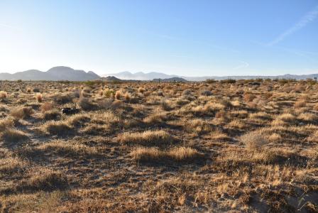 15th St E & Vic Reed Ave, Mojave, Californie 93501, États-Unis