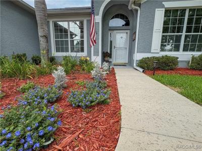247 W Romany Loop, Beverly Hills, Florida 34465, USA