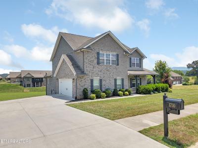 1710 Cool Brook Court, Sevierville, Tennessee 37876, USA