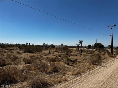 0 Acanthus, Phelan, كاليفورنيا 92371, الولايات المتحدة