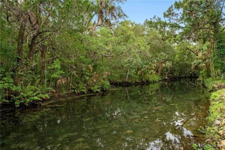 Homosassa, Floride 34448, États-Unis