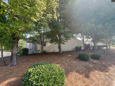 100 Waverly Drive, Lexington, SC 29072, USA