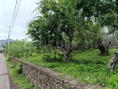 Benito Juárez esq. La Asunción, Camino a Pala S/N,, Tlayacapan, 莫雷洛斯 62540, 墨西哥