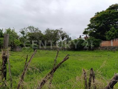 Benito Juárez esq. La Asunción, Camino a Pala S/N,, Tlayacapan, Morelos 62540, Mexique