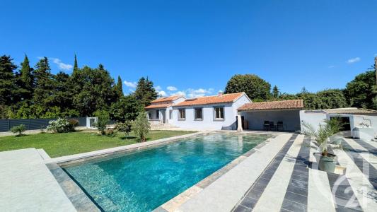 Cavaillon, Provence-Alpes-Côte D'Azur 84300, France