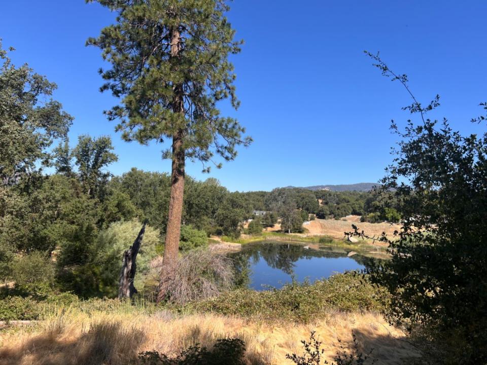 16 Lulniu Ln, Ahwahnee, 캘리포니아 93601, 미국