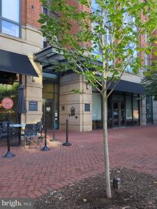 520 John Carlyle Street Unit# 406, Alexandria, Virginia 22314, Amerika Birleşik Devletleri