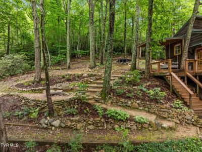 114 Whisper Wood Lane, Johnson City, Tennessee 37601, Amerika Birleşik Devletleri