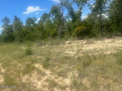 TBD Cachet Court 9, Chipley, Florida 32428, USA