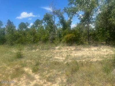 TBD Cachet Court 9, Chipley, 佛罗里达州 32428, 美国