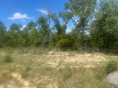 TBD Cachet Court 9, Chipley, 佛罗里达州 32428, 美国