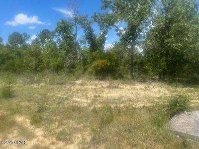 TBD Cachet Court 9, Chipley, 佛罗里达州 32428, 美国