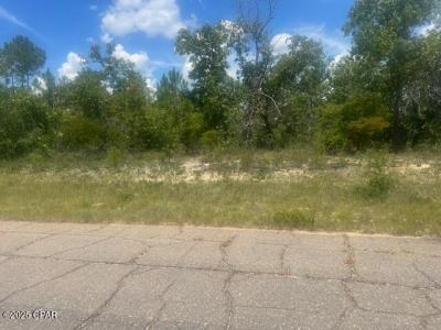 TBD Cachet Court 9, Chipley, 佛罗里达州 32428, 美国