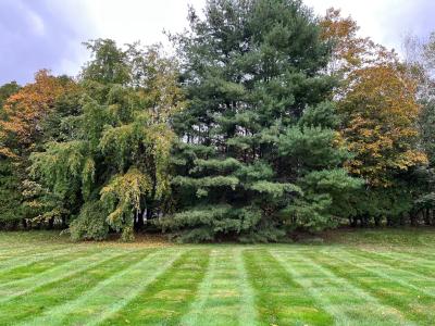 212 Church, Newington, Connecticut 06111, États-Unis