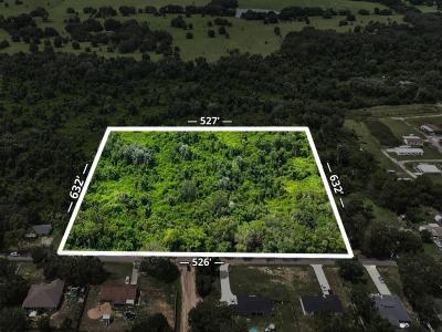 Eagles Nest Road, Fruitland Park, Florida 34731, USA