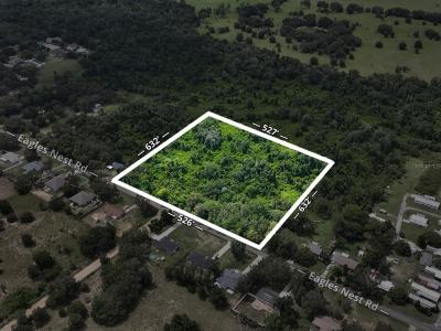 Eagles Nest Road, Fruitland Park, Floride 34731, États-Unis