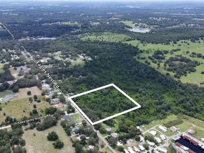 Eagles Nest Road, Fruitland Park, Floride 34731, États-Unis