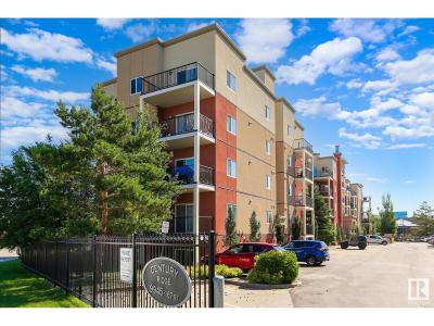 #414 9945 167 ST NW, Edmonton, Alberta T5P 0K5, Canada