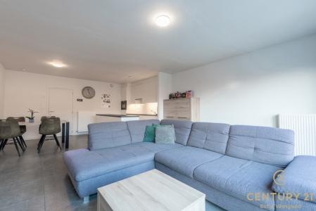 Kuileinde  7. ., Oud-turnhout, 2360, 比利时