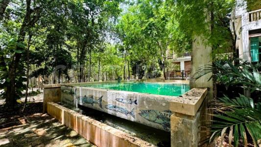 Las flores ,, Cancún/Benito Juárez, Quintana Roo 77500, Mexico