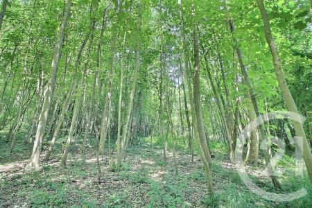 Chateau Thierry, Picardie 02400, France