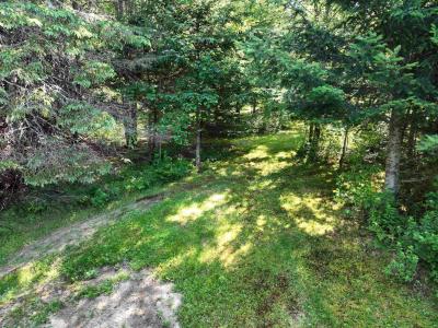 - Creek Road, Albany, Vermont 05820, Estados Unidos