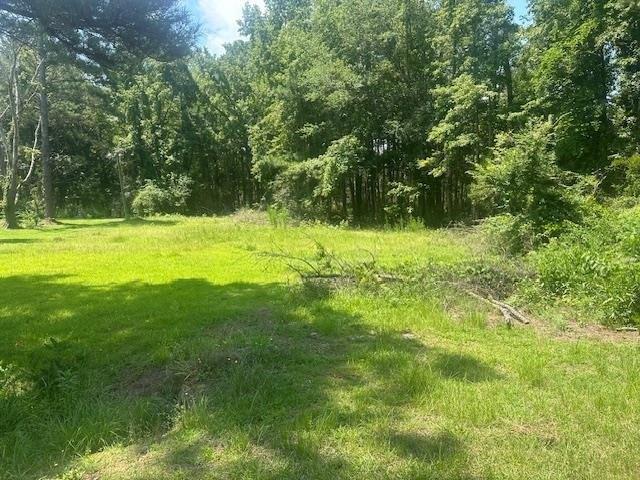 176 Log Road, Lynchburg, Carolina Do Sul 29080, Estados Unidos