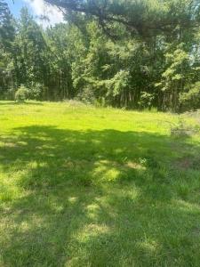 176 Log Road, Lynchburg, Carolina Do Sul 29080, Estados Unidos