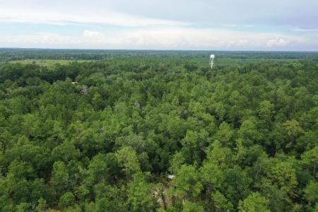 45 Old Federal Road, Quincy, Florida 32351