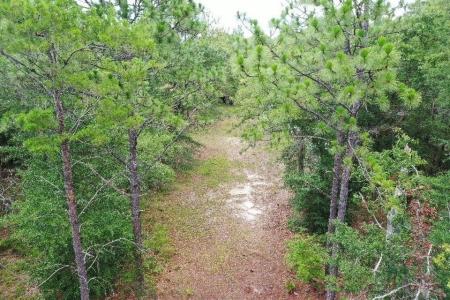 45 Old Federal Road, Quincy, Florida 32351