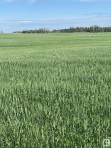 RANGE 24, TOWNSHIP 48, Rural Leduc County, Alberta T0C 1Z0, Canada