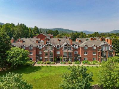252  Ch. du Lac-Millette, Saint-Sauveur, 魁北克省 J0R 1R3, 加拿大