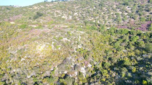 Knysna, Western Cape, South Africa