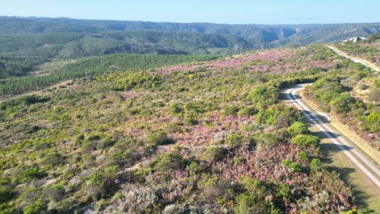 Knysna, Western Cape, South Africa