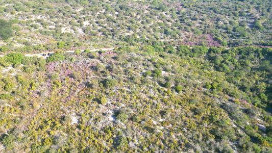 Knysna, Western Cape, South Africa