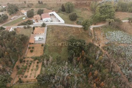 Gondomar, Porto 4515-366, Portugal