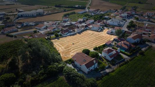 Torres Vedras, Lisbonne 2565-836, Portugal