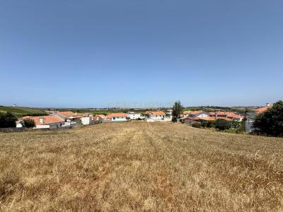 Torres Vedras, Lisbonne 2565-836, Portugal