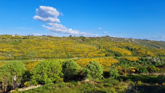 瓜達區, 瓜達區 6300-020, 葡萄牙