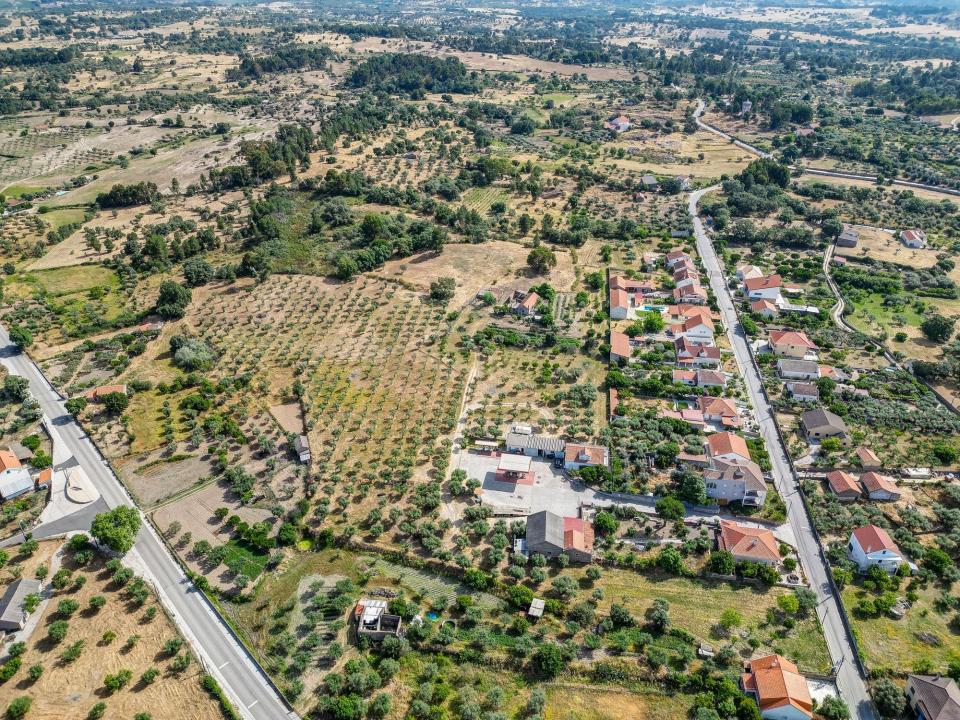 Fundão, Castelo Branco 6230-512, Portugal