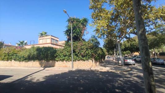 Mallorca, Illes Balears 7004, Spain