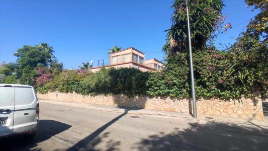Mallorca, Illes Balears 7004, スペイン