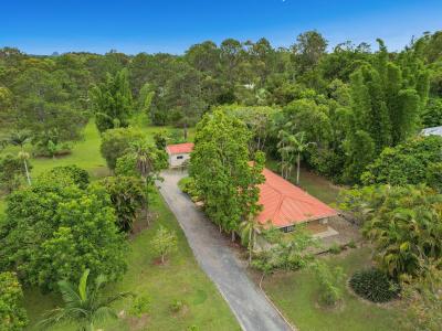 54 Firetail Court, Morayfield, QLD 4506, 澳大利亚