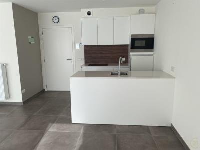 's Heerenveld 3 V001, Torhout, 8820, Belgium
