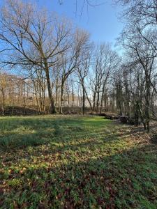Selfkant, Nordrhein-Westfalen 52538, Almanya