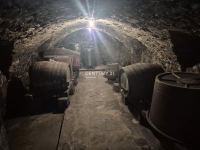 Goče, Vipava, Goriška 5271, סלובניה