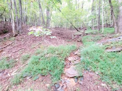 47 Sourwood Drive #197 Lot #197, Mills River, Caroline Du Nord 28759, États-Unis