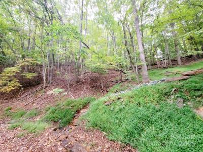 47 Sourwood Drive #197 Lot #197, Mills River, Caroline Du Nord 28759, États-Unis