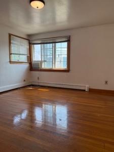 115 Ashley Street #1, East Boston, 马萨诸塞州 02128, 美国