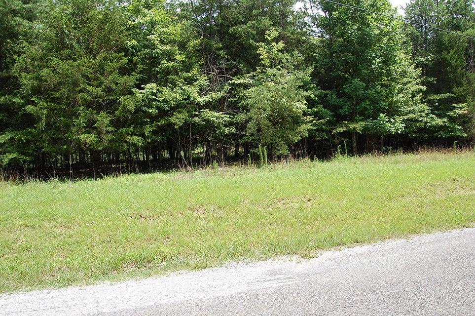 36 Stone Creek Trail, Dunlap, テネシー 37327, アメリカ合衆国